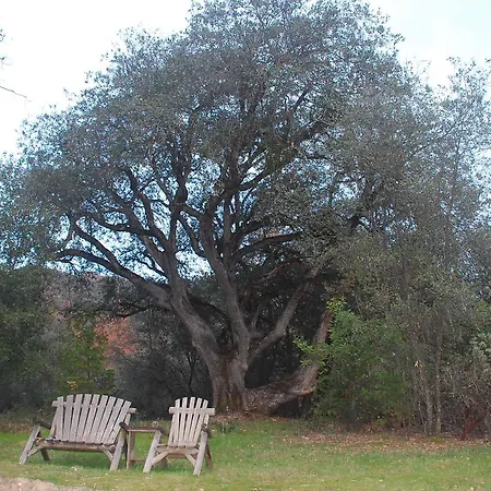Sierra Trails Inn-3
